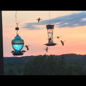 Meet your Posher, Shane